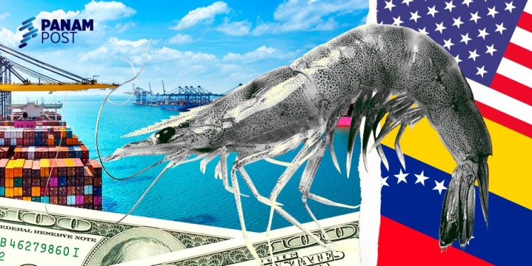  The record import of shrimp from the United States registered in 2023 shows that Venezuela either lacks the capacity to meet domestic demand or that there is an elite preference for consuming imported products from the demonized North American empire. (PanAm Post) 